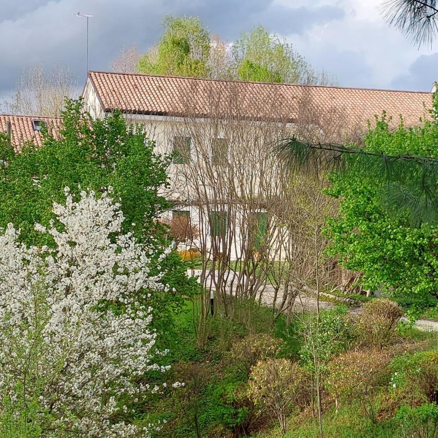 Agriturismo L'Eremo Volpago del Montello Exterior foto